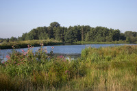 Musschenberg en Weerdbeemden